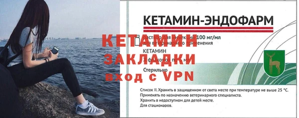 шишки Надым