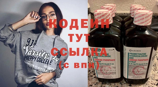 шишки Надым