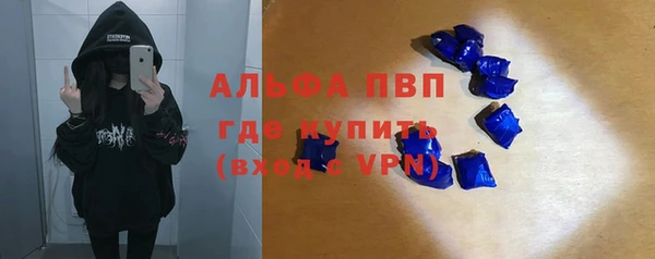 молекула духа Новозыбков