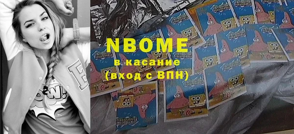 гидра Новодвинск