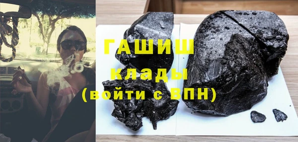 шишки Надым