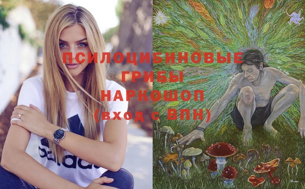 спиды Навашино