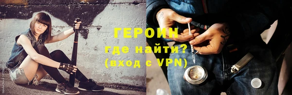 шишки Надым