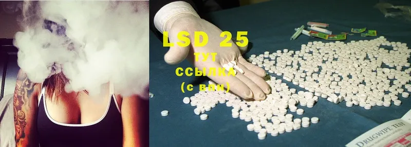 LSD-25 экстази кислота  кракен ССЫЛКА  Каменка 