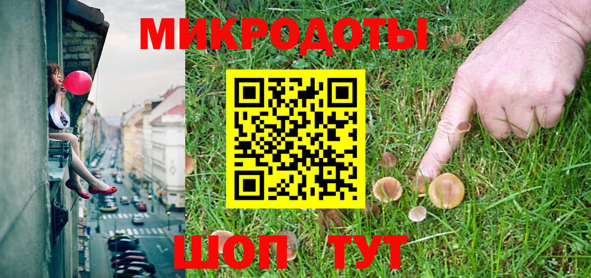 Галлюциногенные грибы MAGIC MUSHROOMS  Галлюциногенные грибы Psilocybine cubensis  Каменка 