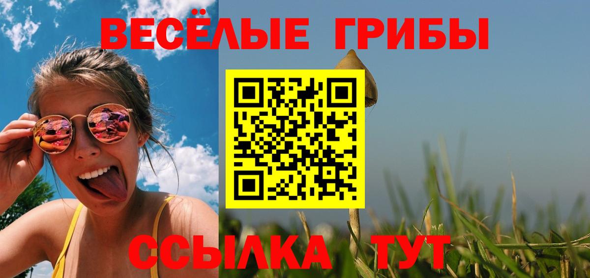Каменка  Псилоцибиновые грибы ЛСД  Вход с VPN 